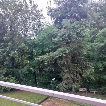 Maggiore 2 Minutes *